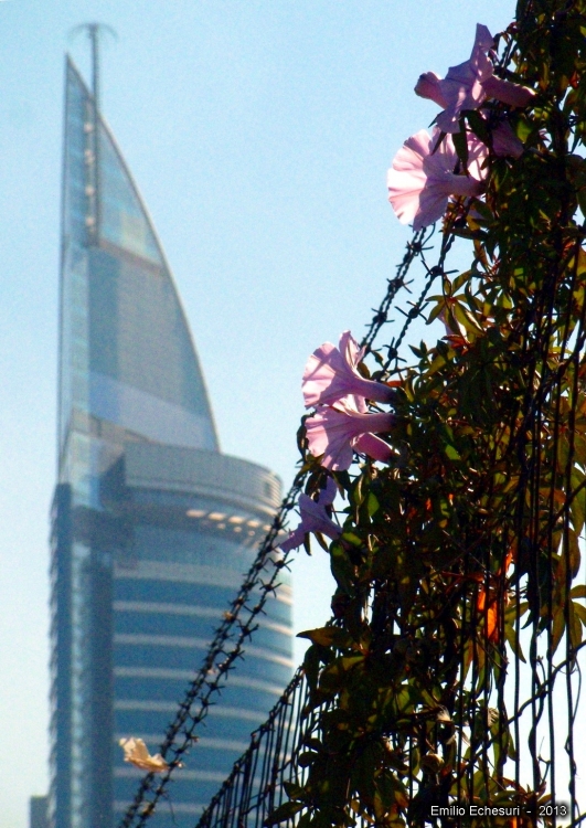 "La torre" de Emilio Echesuri