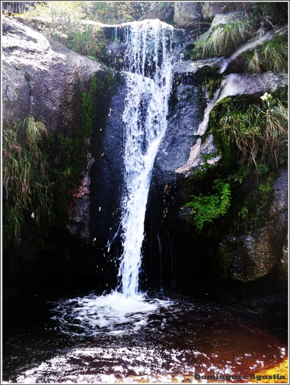 "Cascada." de Agustin Dominguez