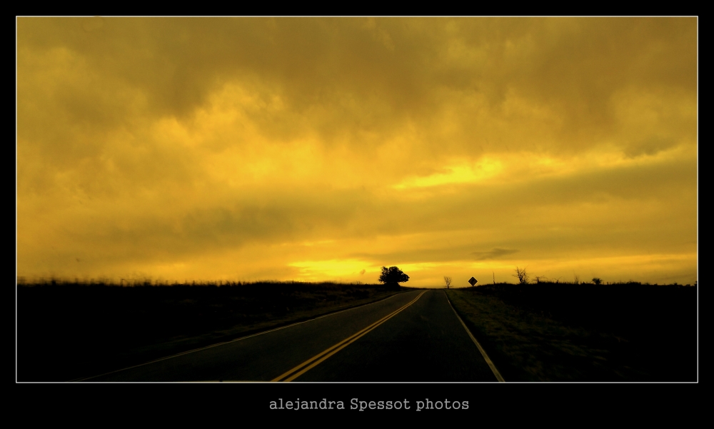 "Camino al atardecer ..." de Alejandra Spessot