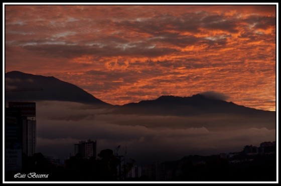 "Caracas 5:30am" de Luis Becerra