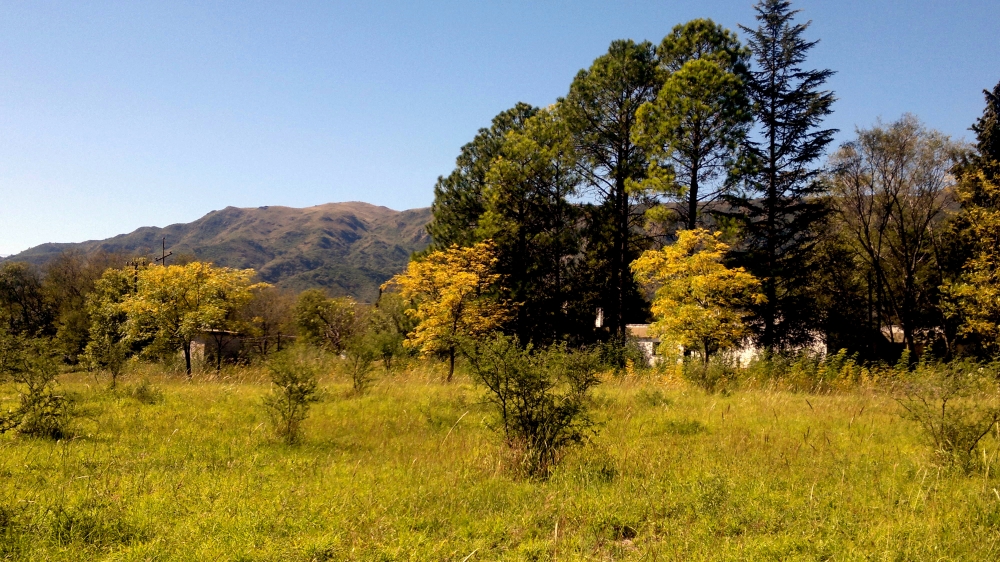 "otoo en las sierras" de Eduardo Grinspan