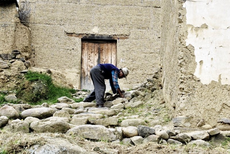 "Campesino" de Martin Calvo