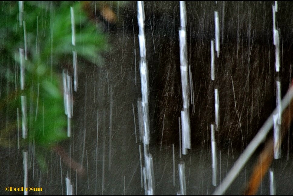 "Llueve! (LPM!), otra vez!" de Juan Jos Braun