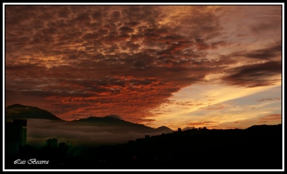 "Caracas 5:30am" de Luis Becerra