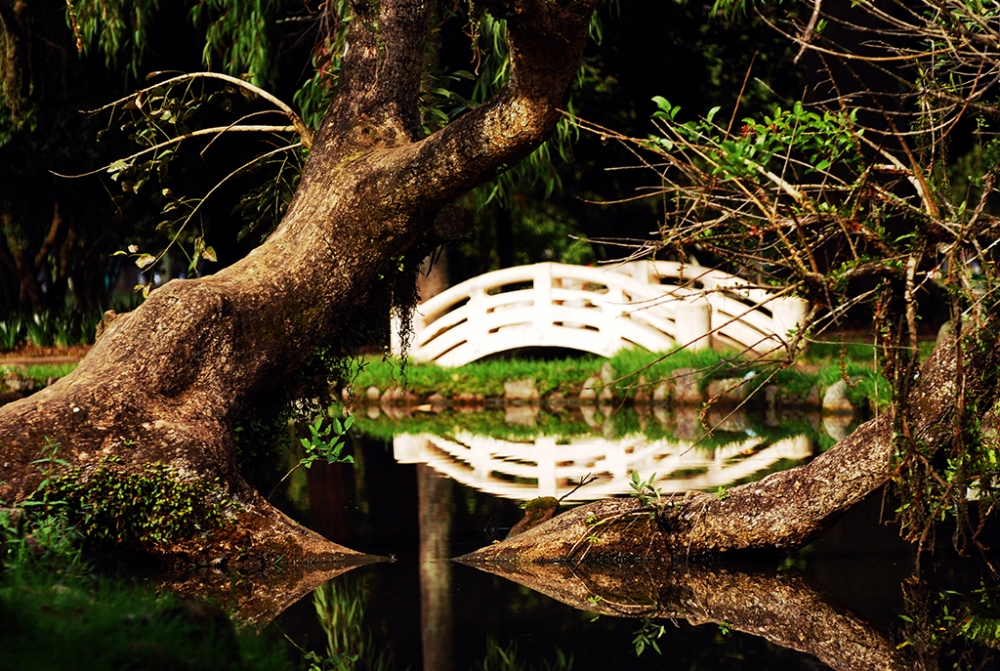 "Reflejos en el parque." de Rodrigo Gorski