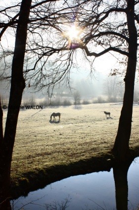 "Invierno" de Marine Walon