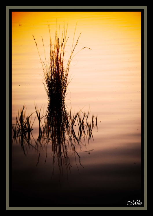 "`reflejos al atardecer...`" de Emilio Casas (milo)