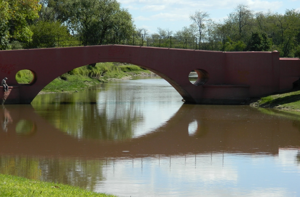 "Reflejos pincelados." de Osvaldo E. Portillo