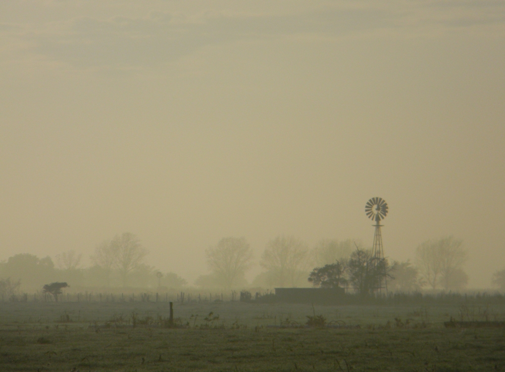 "Amanecer de un da con niebla" de Alberto Daniel Frete