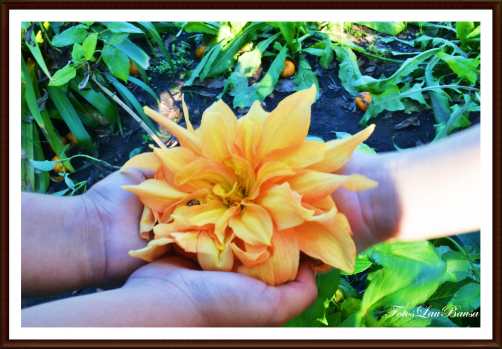 "De mi serie.... Te regalo una flor!!!" de Maria Laura Bausa