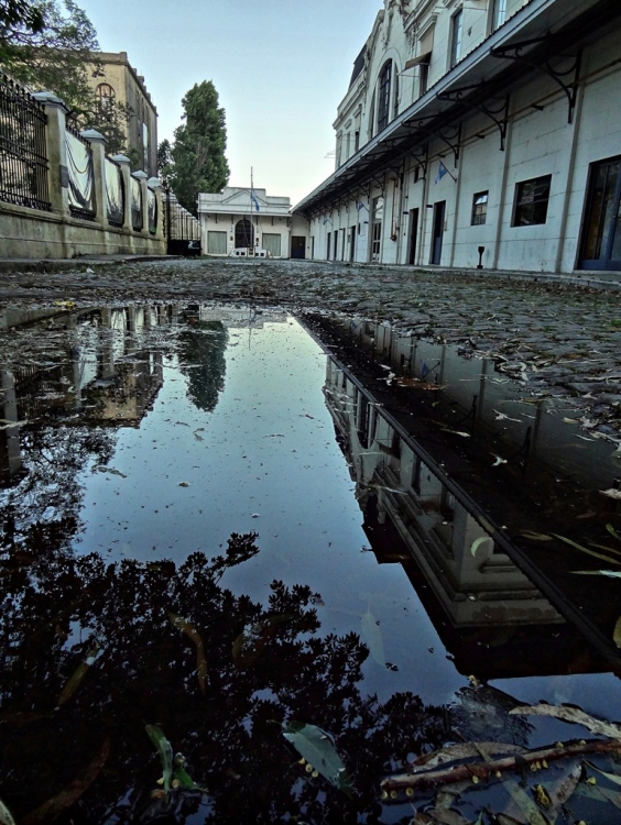 "El charco" de Silvia Chamorro