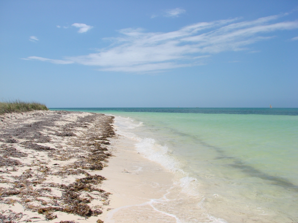 "Playa desierta" de Monica Rollan