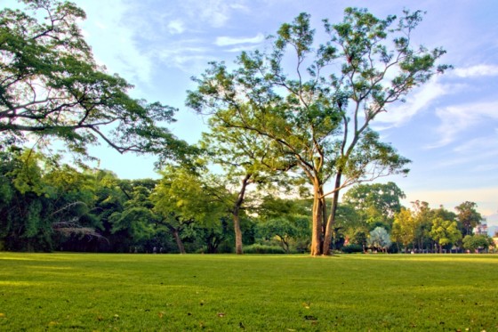 "Paz en el Parque" de Virgilio Rodriguez