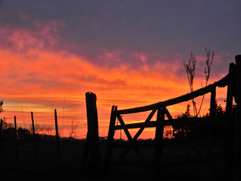 "Amanecer en el campo" de Alberto Daniel Frete