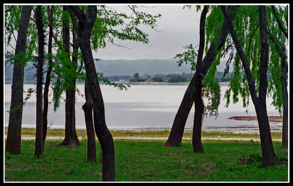 "Sinfonia frente al lago" de Jorge Vicente Molinari