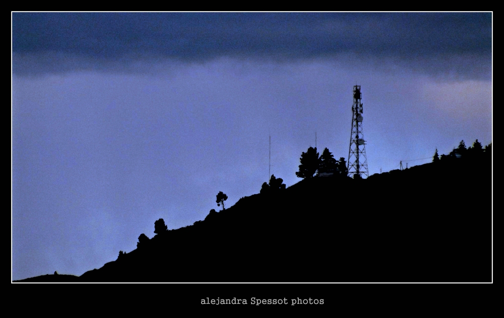 "La antena" de Alejandra Spessot