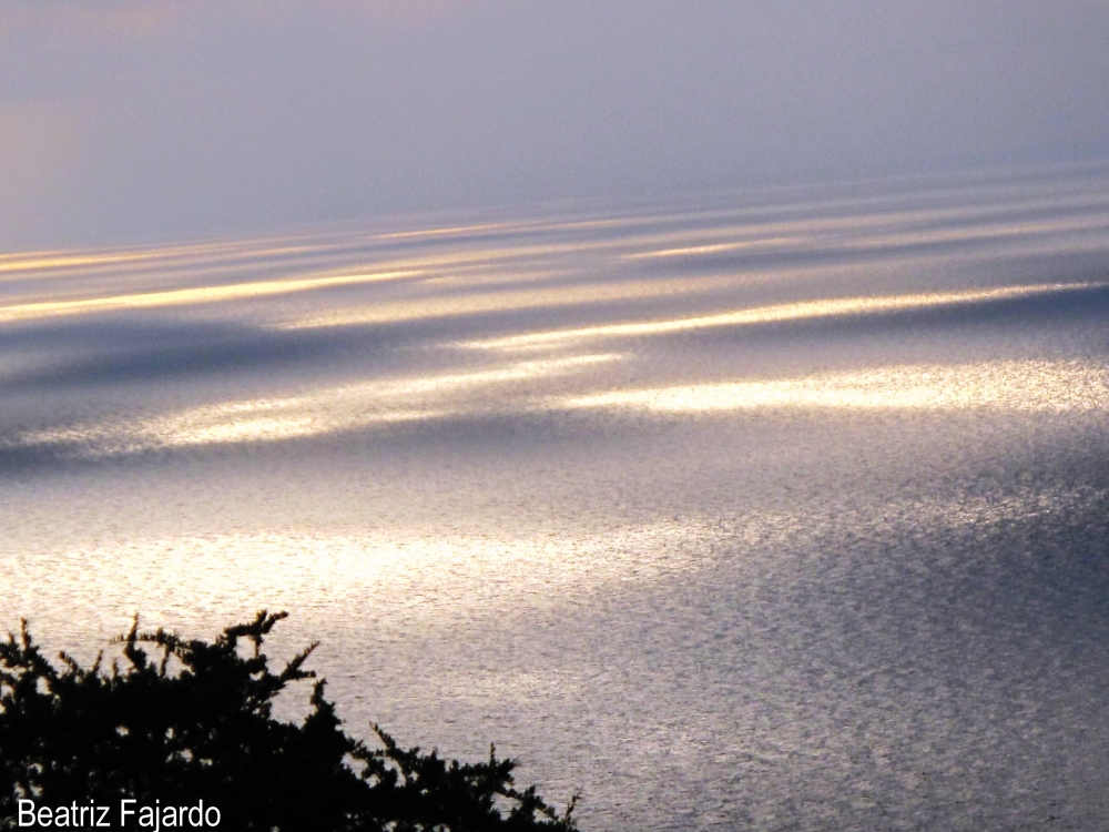 "Luces en el mar" de Beatriz Fajardo