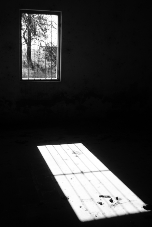 "ventanas" de Leandro Baldoma