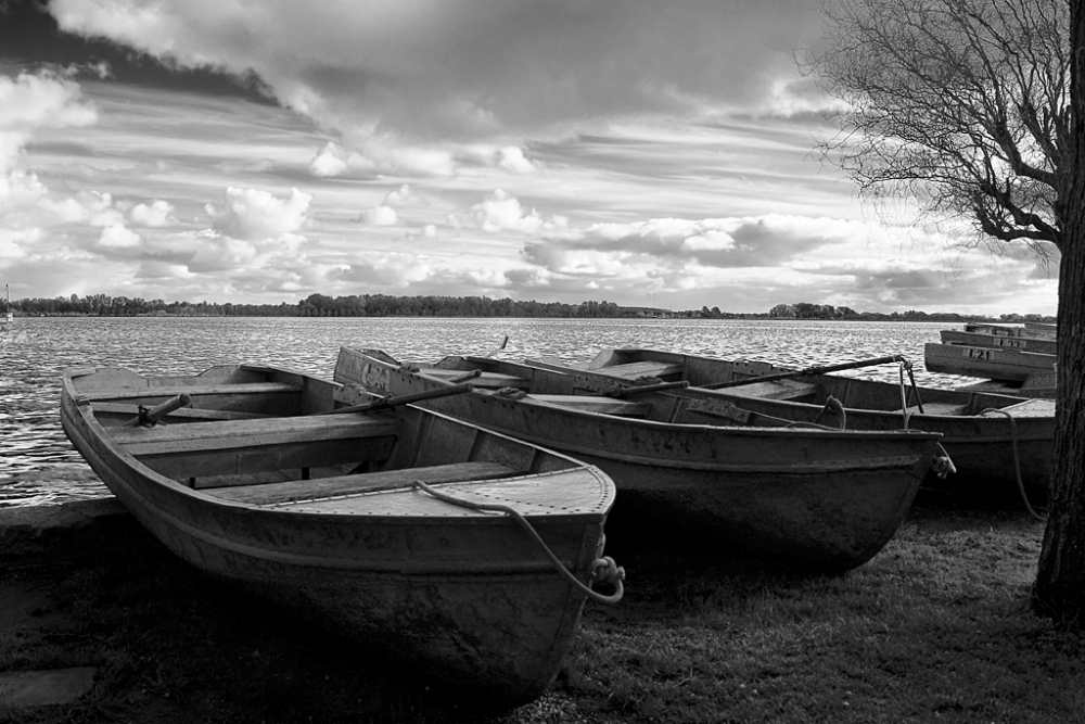 "El lago" de Agustn Gribodo