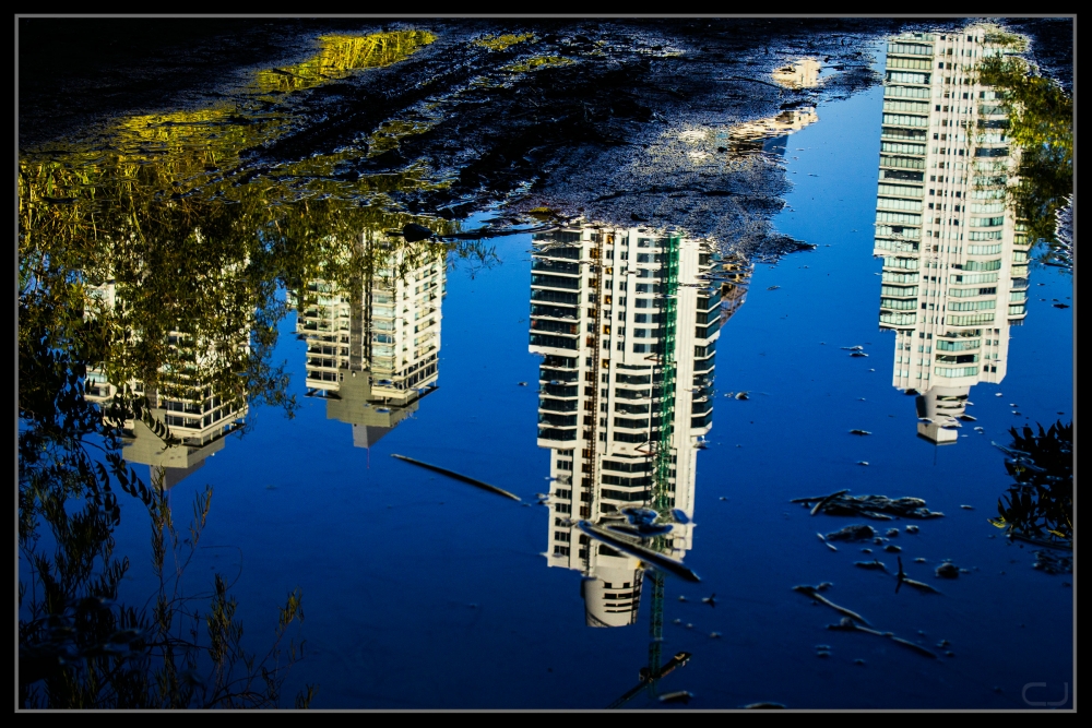 "Reflejos en la reserva" de Claudio Jord