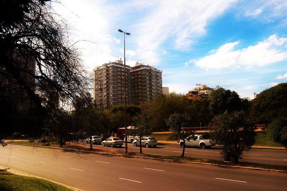 "LA AVENIDA !!!" de Anglica Pegas