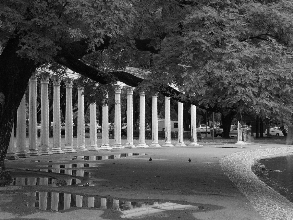 "REFLEJOS JUNTO AL LAGO" de Hugo Zadunaisky