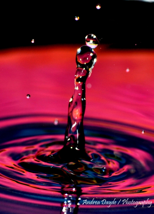 "Oscar H2O" de Andrea Dayde