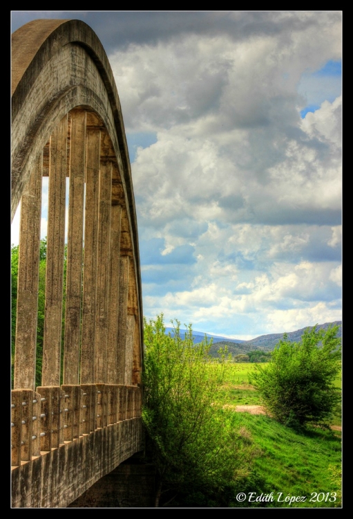 "Soado Puente" de Edith E. Lpez