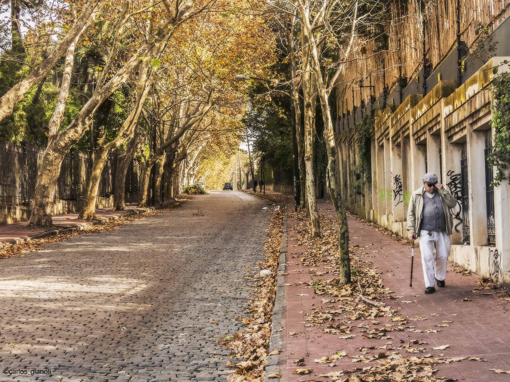 "Transitando el otoo" de Carlos Gianoli