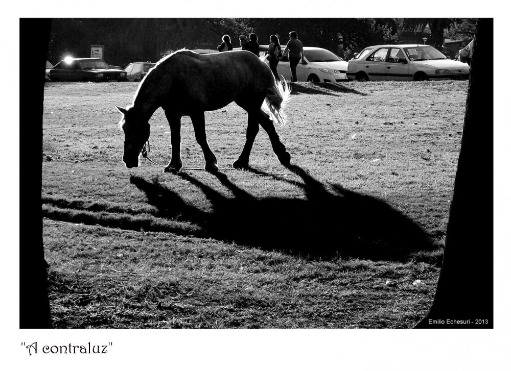 "A contraluz" de Emilio Echesuri