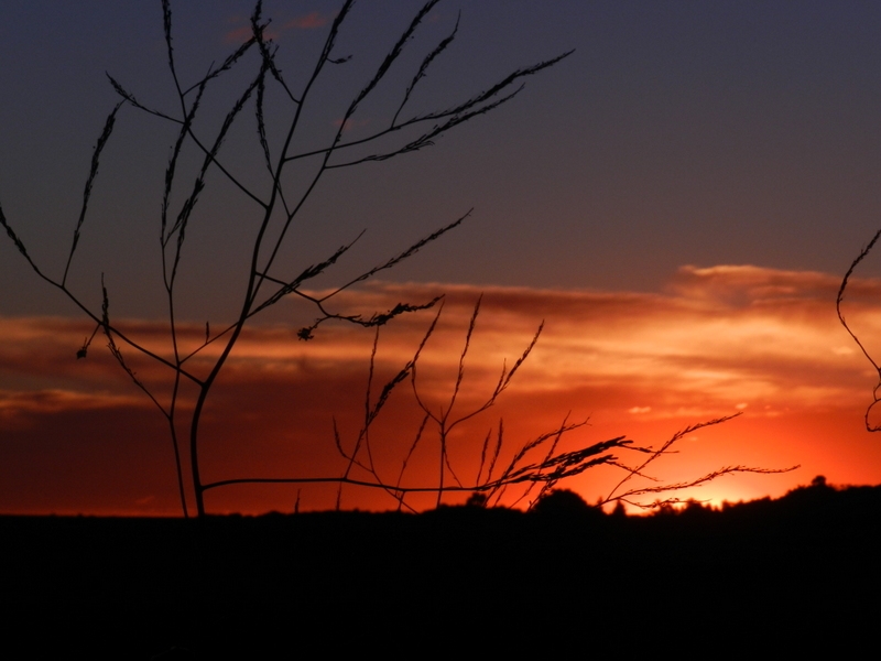 "atardecer" de Claudia Paredi