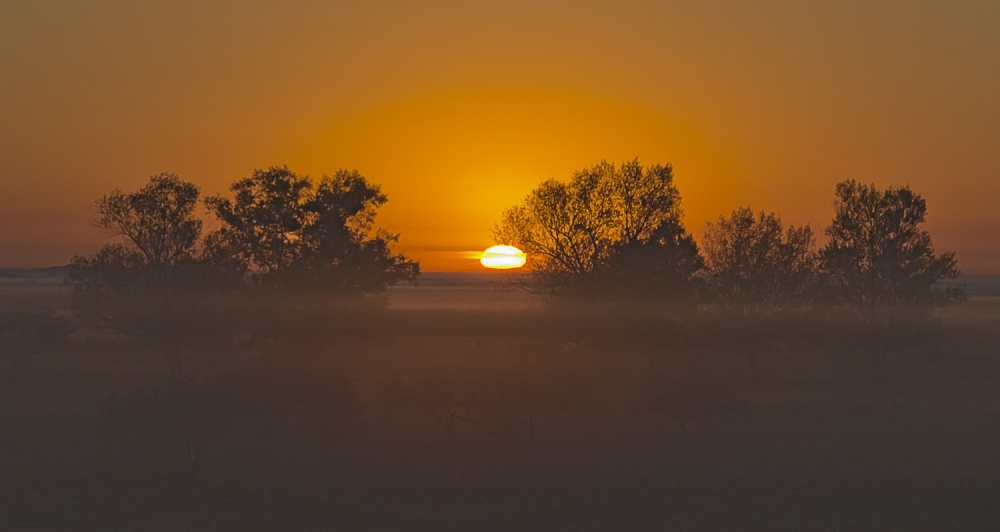 "amanece en la niebla" de Edith Polverini