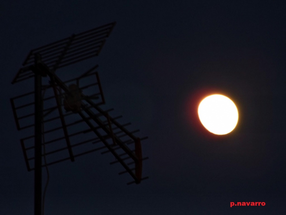 "la luna y la antena" de Pascual Navarro