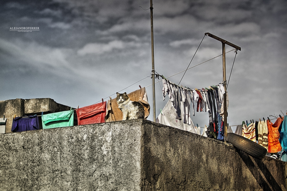 "Tarde de Terraza" de Alejandro Ferrer