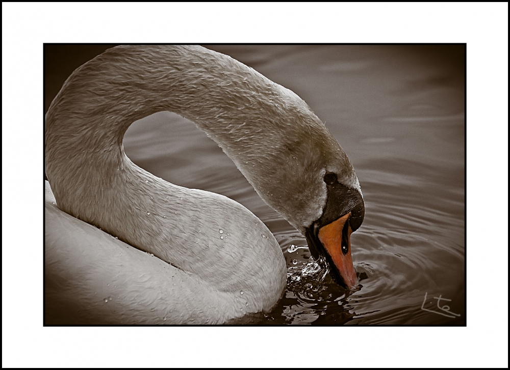 "Con sed..." de Angel Triana