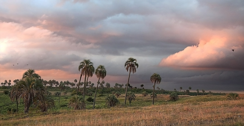 "los colores del atardecer" de Edith Polverini