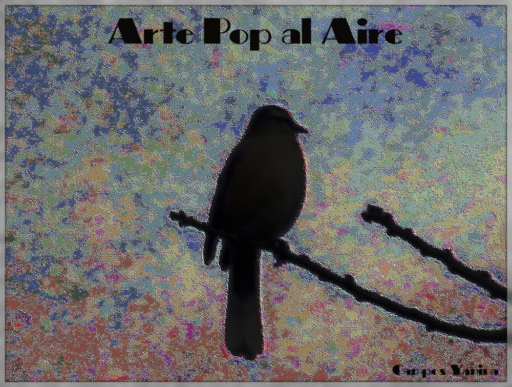 "Arte pop al Aire" de Yanina Campos