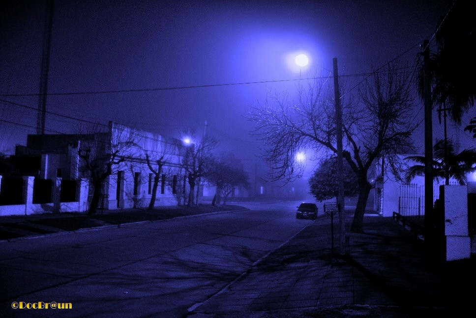 "Neblina" de Juan Jos Braun