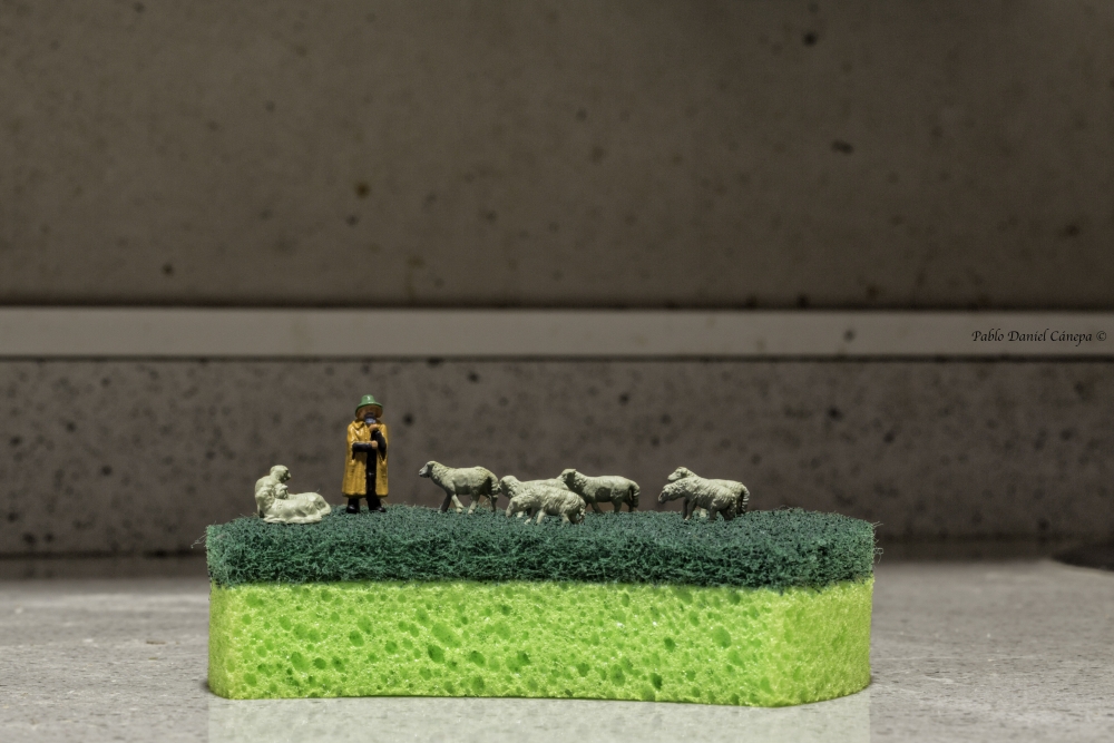 "Pastoreando en mi cocina." de Pablo Daniel Cnepa