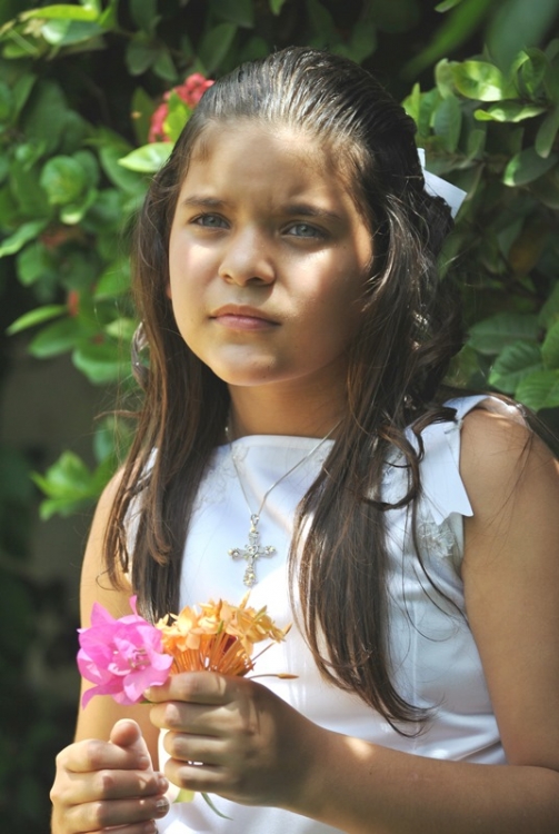 "`Mara Rosario: Recogiendo Flores`" de Danny Mclean