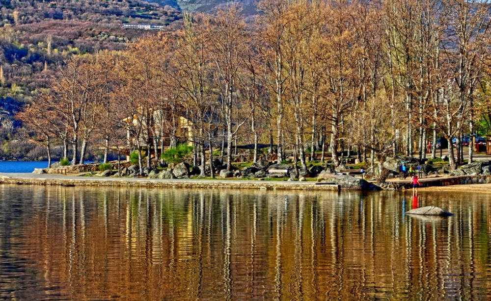 "Bosque y Lago" de David Eduardo Montemurri