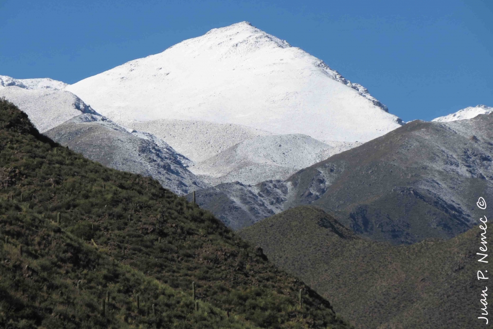 "Blanco y verde" de Juan P. Nemec