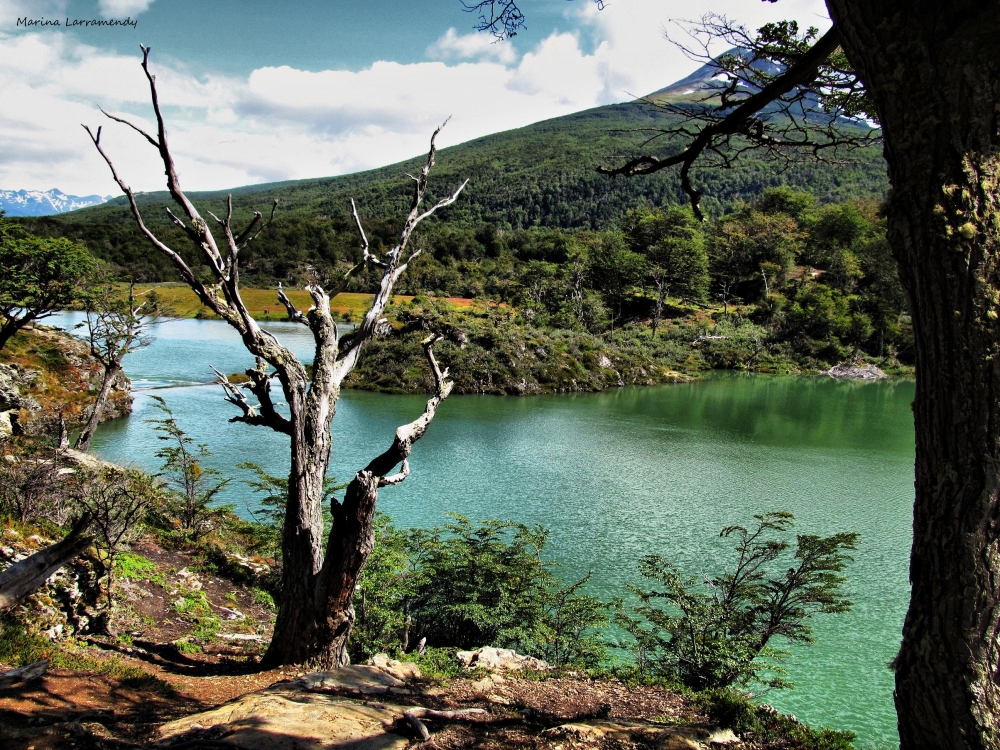 "Laguna Verde - Parque Nacional de Tierra del Fuego" de Marina Larramendy