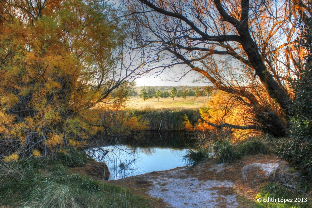 "Paisaje Otoal" de Edith E. Lpez