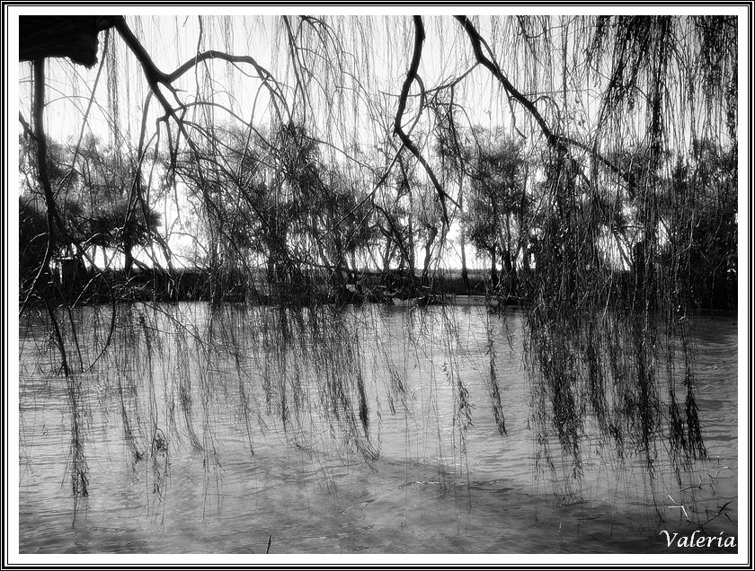 "Llantos sobre el rio" de Vale Valeria Vergara