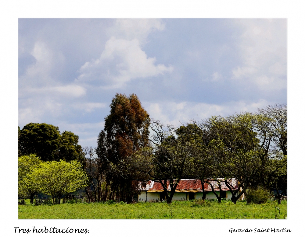 "Tres habitaciones." de Gerardo Saint Martn