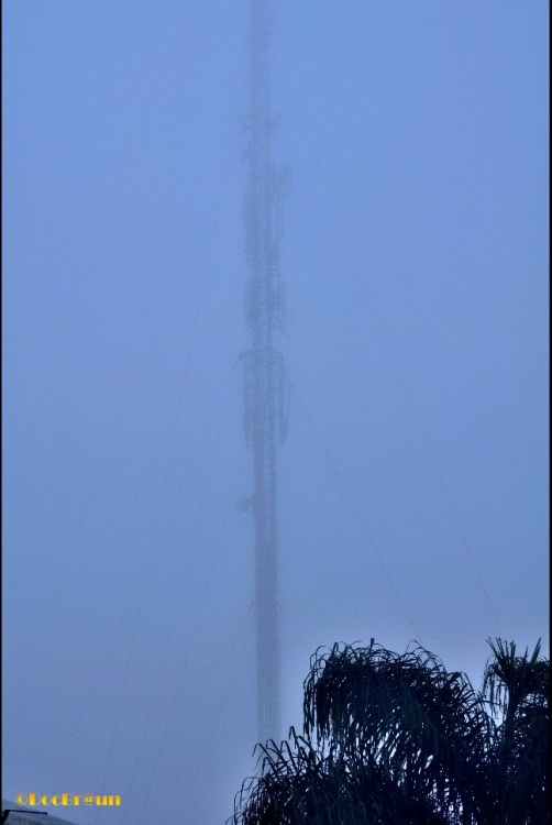 "Hablando de niebla..." de Juan Jos Braun