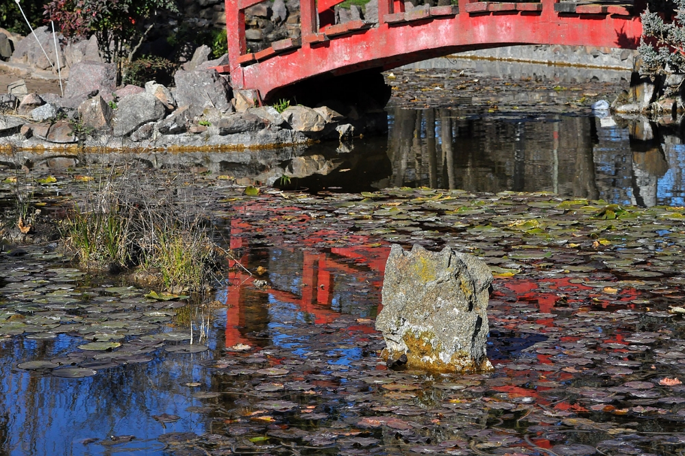 "Reflejos del puente" de Beatriz Franchini