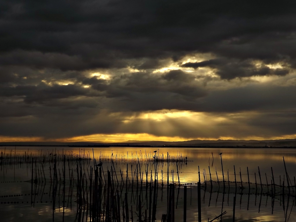 "rayos crepusculares al atardecer" de Pascual Navarro