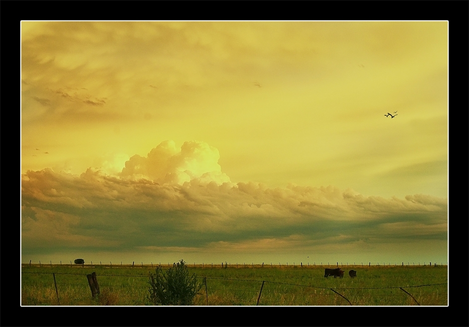 "Atardecer inestable" de Hugo Carlos Torres